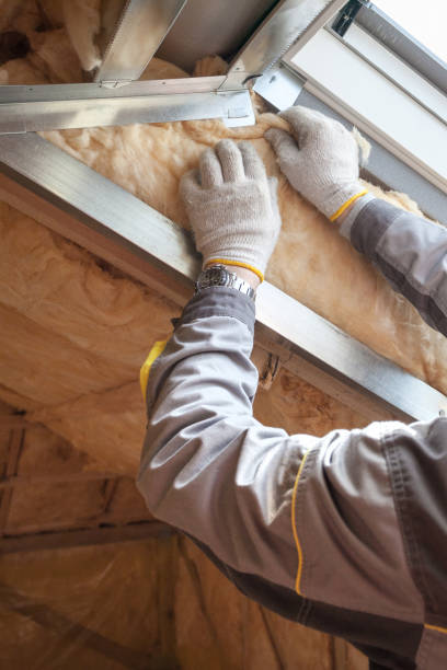 Best Eco-Friendly Insulation in Rogersville, AL